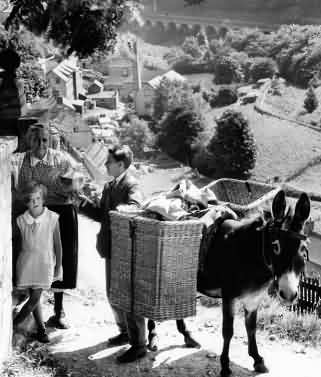 Chalford donkey delivery service in 1935