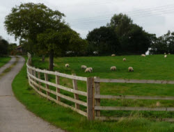 Driveway to Masty Farm