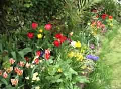 The Garden