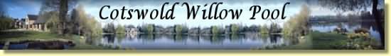 Willowlogo