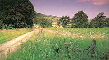The Cotswolds Landscape