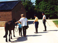 Riding Schools in the Cotswolds