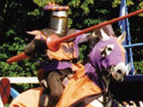 Jousting at Blenheim Palace