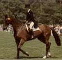 Princess Anne Equestrian Activities