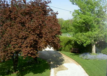 View of Kymalton Garden from Bedroom 