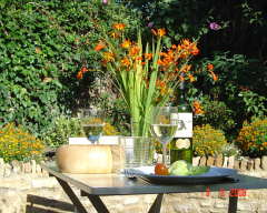 The garden