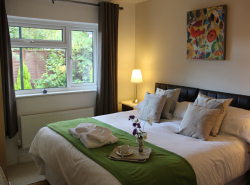 Twin bedded Room