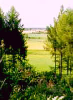 View from Hill Grove Farm Cottage Crawley Dry Lane Minster Lovell Witney Oxfordshire