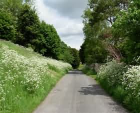 Lynch Road adjacent to Orchard Cottage