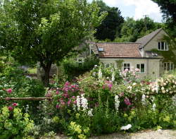Orchard Cottage