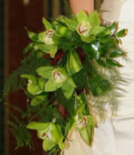 Floral Posy from Bay Tree